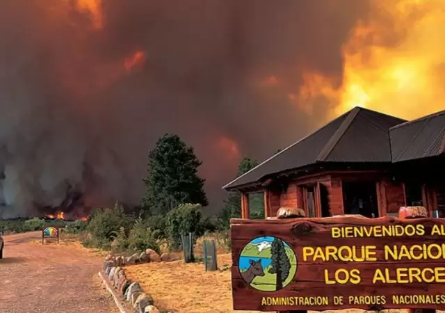 Paisaje desolador en el Parque Nacional Los Alerces: las llamas ya consumieron m�s de 10.000 hect�reas de bosque nativo en Chubut.