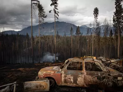 40.000 hect�reas en 50 d�as. Los n�meros de la tragedia.