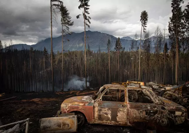 40.000 hect�reas en 50 d�as. Los n�meros de la tragedia.