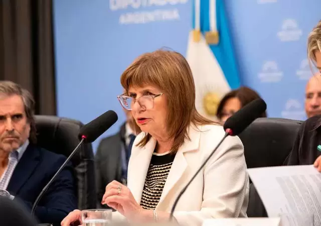 En el Senado, Patricia Bullrich busca el apoyo del bloque de la UCR. (Foto: archivo web)