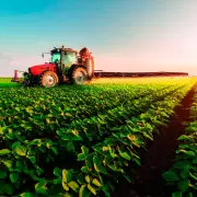Exportaciones 2025: r�cord de granos y crisis en el vino