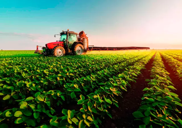 El trigo y el girasol fueron los motores del crecimiento en 2025, con subas del 33% y 50% en exportaciones, respectivamente.