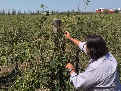 emergencia agropecuaria