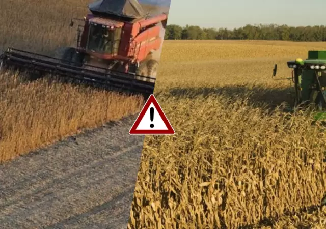 campo argentino de Ma�z y Soja