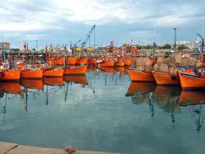 El Sindicato de Conductores Navales.