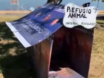 Refugio animal