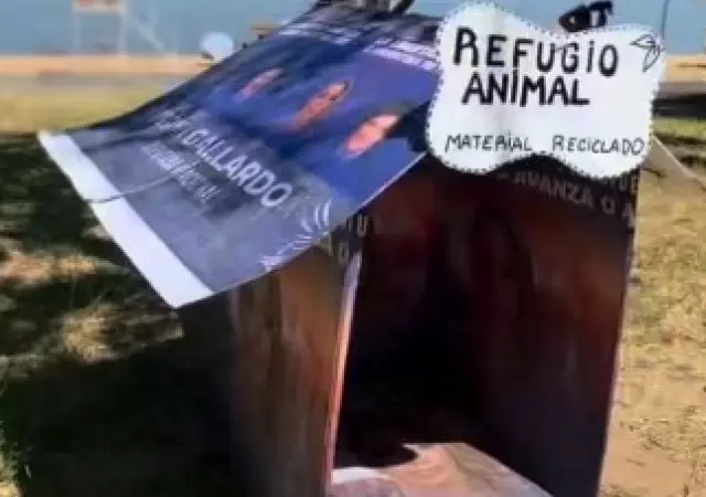 Refugio animal