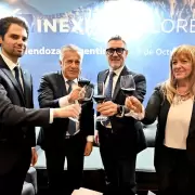 Gira europea: La ambiciosa agenda de Alfredo Cornejo en París y Londres para posicionar el vino mendocino