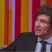 Imactante: "Milei le gana a Kicillof en 21 de los 24 distritos"