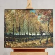 Pinceladas invisibles: descubren que un famoso cuadro de Van Gogh son en realidad tres pinturas en una