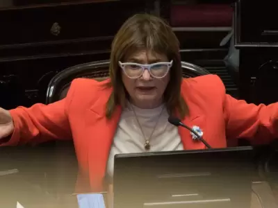 La senadora libertaria Patricia Bullrich tuvo un rol esencial en la media sanci�n de la ley. (Foto: web)