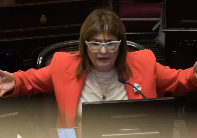 La senadora libertaria Patricia Bullrich tuvo un rol esencial en la media sanci�n de la ley. (Foto: web)