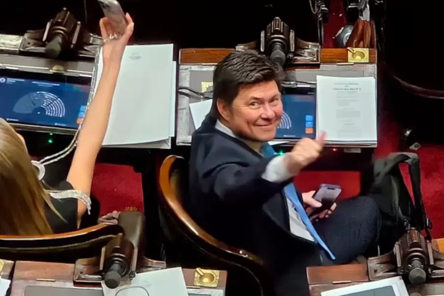 El Diputado Lisandro Almir�n