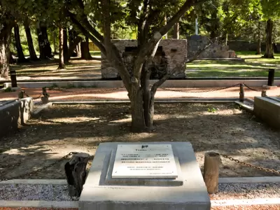 ADN sanmartiniano: Aunque el �rbol original muri� en 1948, este v�stago plantado en su lugar mantiene vivo el legado del refugio del General.