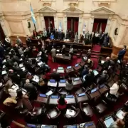 El Senado se encamina a convertir en ley la baja de la edad de imputabilidad a los 14 años
