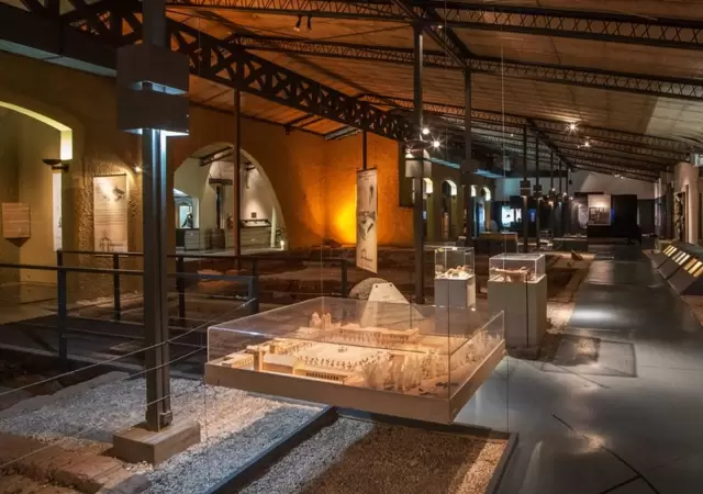Museo del �rea Fundacional