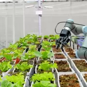 IA y robots: la revolución que busca salvar al agro en Cuyo