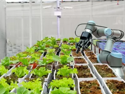 La tecnificaci�n del agro es le proximo camino que deber� tomar el agro