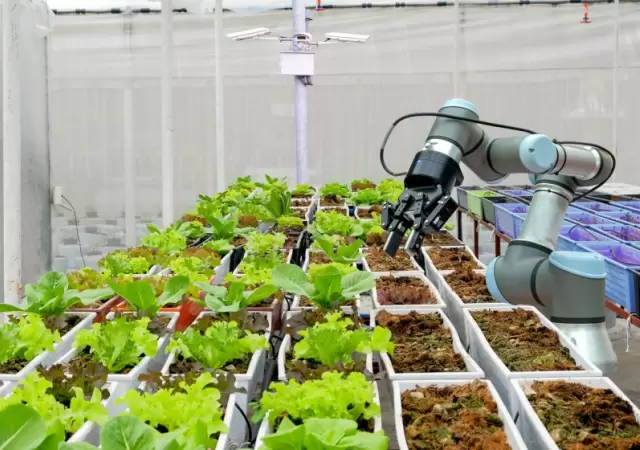 La tecnificaci�n del agro es le proximo camino que deber� tomar el agro