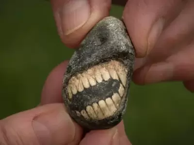 �Una dentadura humana de hace millones de a�os? Conoc� la historia de Christine y el extra�o animal marino que encontr� en la "Isla Sagrada".