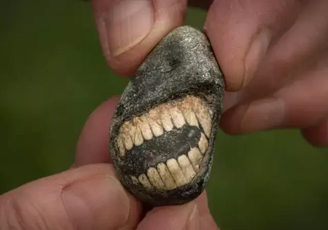 �Una dentadura humana de hace millones de a�os? Conoc� la historia de Christine y el extra�o animal marino que encontr� en la "Isla Sagrada".