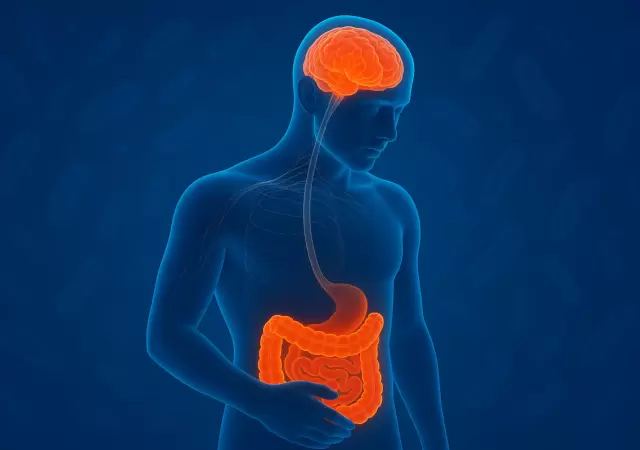 Revoluci�n m�dica: c�mo el eje intestino-cerebro podr�a ser la clave para anticipar el Parkinson y el Alzheimer