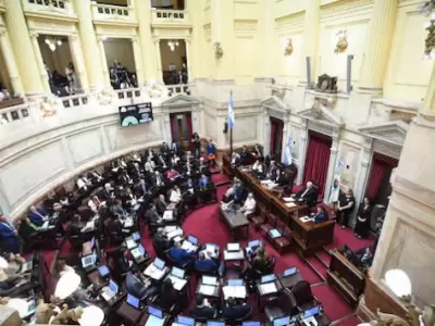 Aprobada la Ley de baja de Imputabilidad