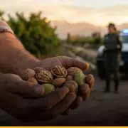 Frutos secos en Mendoza: blindan rutas contra el robo