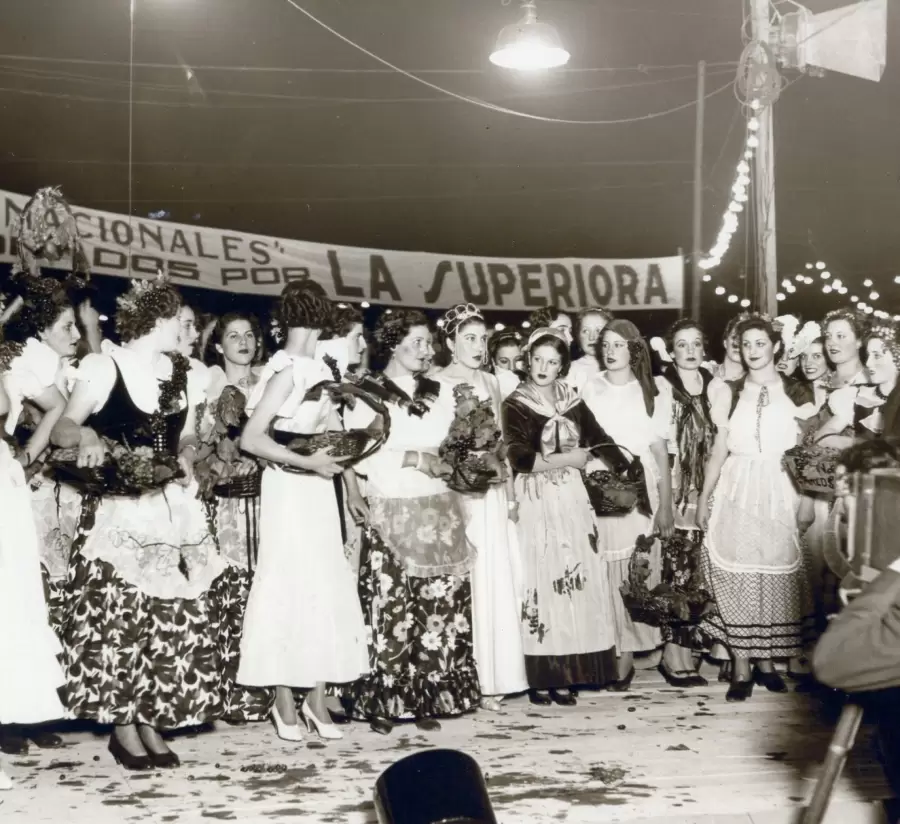 La vendimia en fotos
