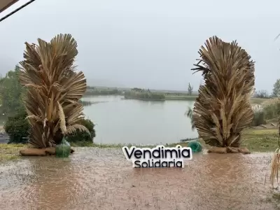 La Vendimia Solidaria pasada por agua. Suspendieron el evento por lluvias.