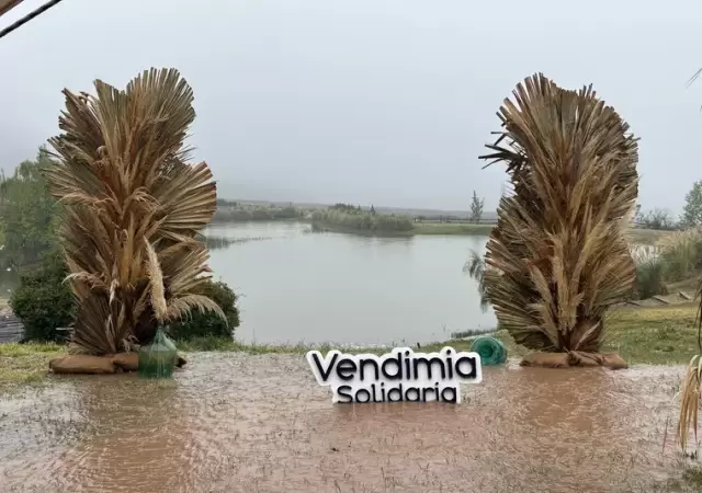 La Vendimia Solidaria pasada por agua. Suspendieron el evento por lluvias.