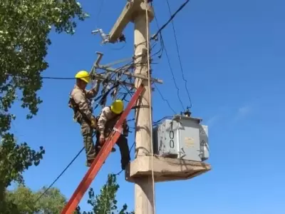 La Cooperativa anunci� tareas de mantenimiento en la red el�ctrica.