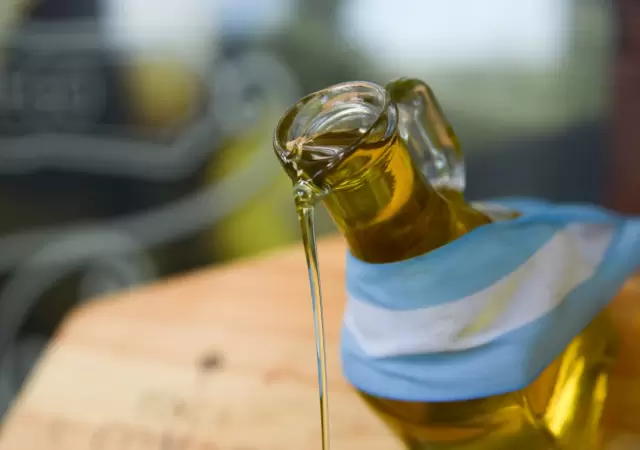 Referentes del sector p�blico, privado y la academia sellaron el acuerdo para la creaci�n del Consejo Estrat�gico Oliv�cola de Mendoza.
