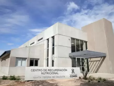 La Fundaci�n CONIN proyecta la reapertura de su hospital modelo en Mendoza para fortalecer el tejido social y la nutrici�n infantil.