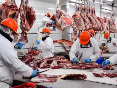 Andr�s Costamagna, director de la SRA, analiz� el impacto del rechazo chino a la carne argentina por un f�rmaco prohibido desde 1988.