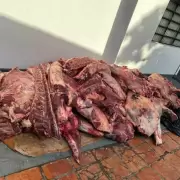Faena clandestina en Mendoza: riesgos de la carne ilegal