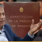 Reforma en Mendoza: por qué es tan difícil cambiar la Constitución