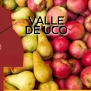 Mendoza cambia su mapa agrícola: de la manzana a la papa y el ajo