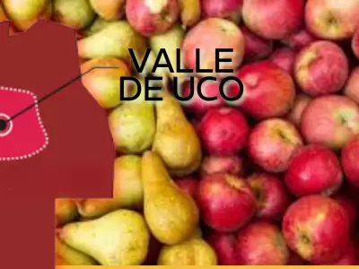 circulo politico
