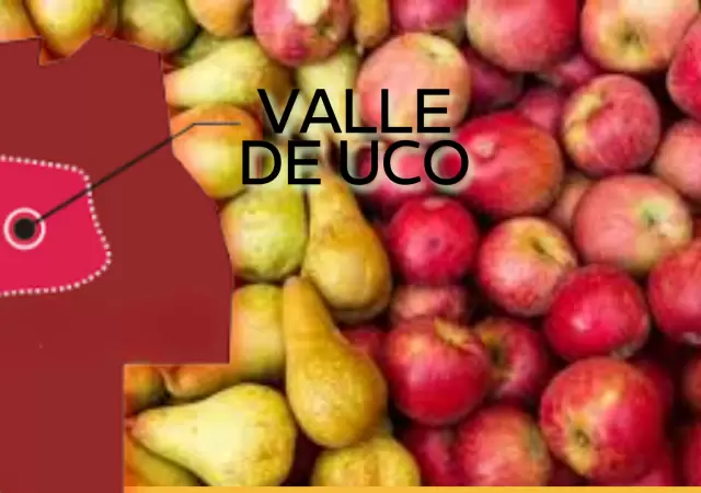 circulo politico