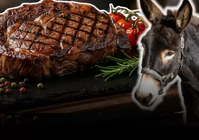 Entre el tab� cultural y la necesidad: el proyecto de carne de burro en Punta Tombo.