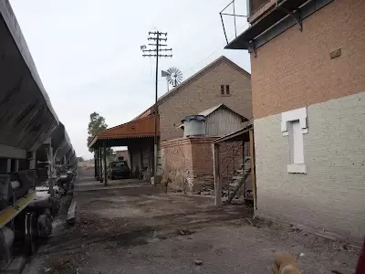 El barrio tendr� una estacion del Metrotranv�a en su nueva expansi�n