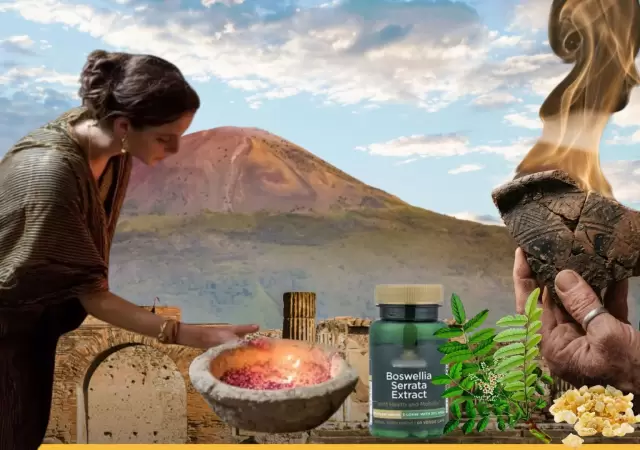 Las vasijas analizadas por la Universidad de Z�rich que guardaron el secreto del aroma de Pompeya por siglos.
