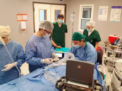 El uso de dispositivos electr�nicos e integrados en red simplifica la labor m�dica, principalmente evit�ndole manualidades administrativas.