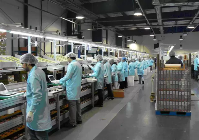 industria y pyme