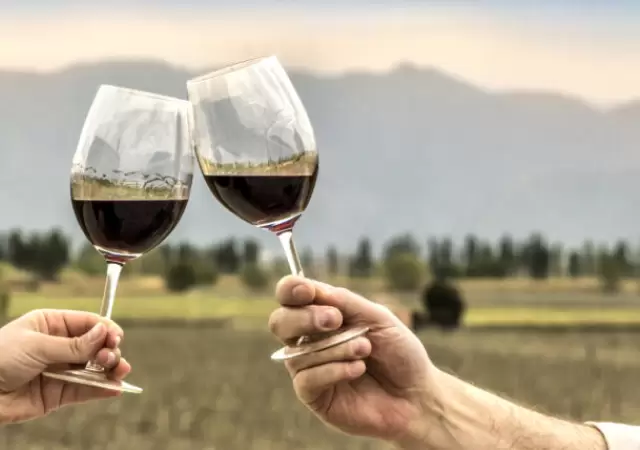 Despu�s de una gran crisis, el vino vuelve a tomar protagonismo