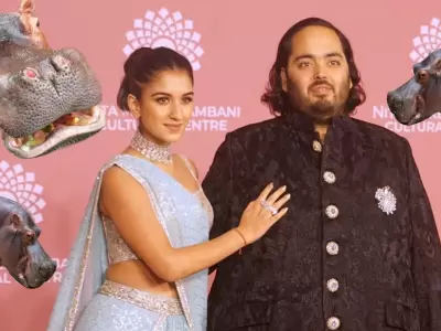 �Qui�n es Anant Ambani? El multimillonario que busca salvar a los 80 hipop�tamos de Pablo Escobar en Colombia