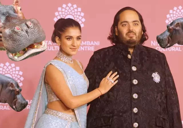 �Qui�n es Anant Ambani? El multimillonario que busca salvar a los 80 hipop�tamos de Pablo Escobar en Colombia