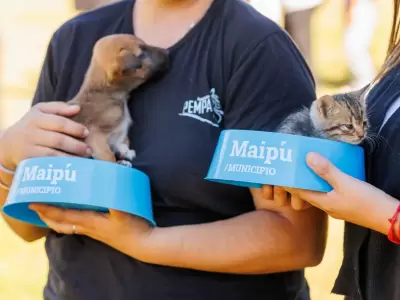 Cuidar a tu mascota ahora es m�s f�cil.