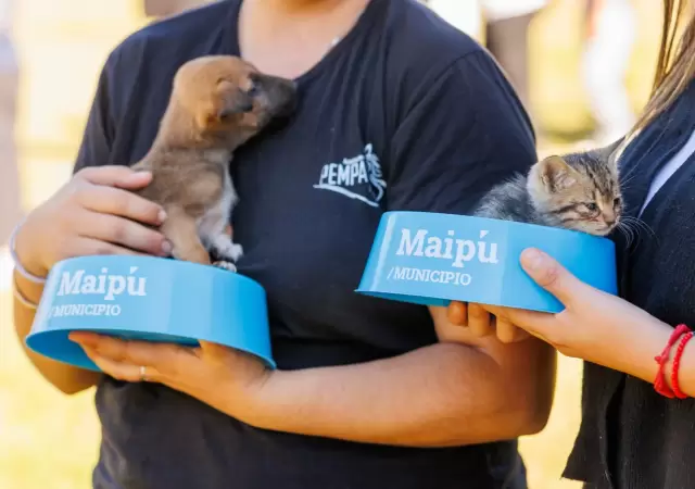 Cuidar a tu mascota ahora es m�s f�cil.